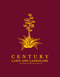 Century Lawn and Landscape logo