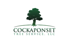Logo for Cockaponset Tree Service