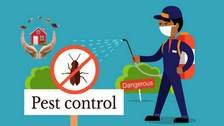 Avatar for A Plus Quality Pest Control