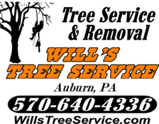 Avatar for Will's Tree Service and Removal