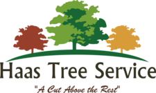 Avatar for Haas Tree Service - Home Facebook