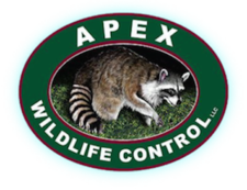 APEX Wildlife Control, LLC logo