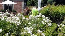 Cardona Garden Services - Unlicensed Contractor logo