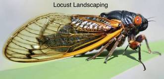 Locust Landscaping logo