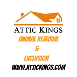 Attic Kings, Animal Removal & Exclusion logo