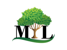 Logo for Medrano's Landscaping Service