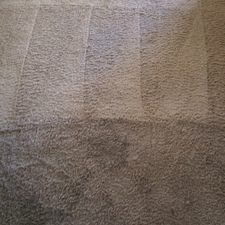 Sunshine Carpet Cleaning Melbourne Fl 32935 Homeadvisor