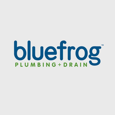 Logo for Blue Frog Plumbing