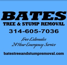 Avatar for Bates Tree & Stump Removal