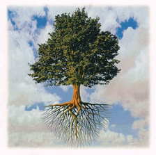 New England Horticultural Services, LLC logo