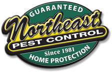 Avatar for Northeast Pest Control, Inc.