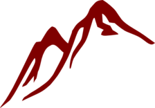 Logo for Red Mountain Services, LLC