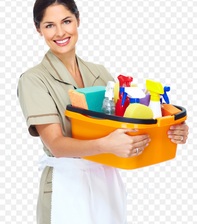 Sparkling Cleaners logo