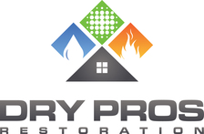 Dry Pros, LLC logo