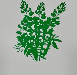 New Growth Landscaping logo