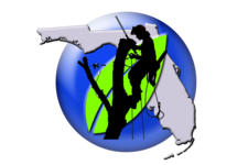 Avatar for Southern Cuts of Florida, LLC