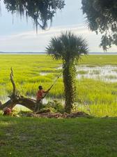 Logo for Hi Low Country Landscape, LLC