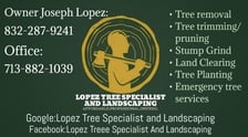 Avatar for Lopez Tree Specialist and Landscaping LLC