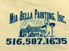 Touch of Class Painting Professional logo