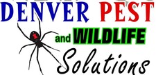 Denver Pest And Wildlife Solutions logo