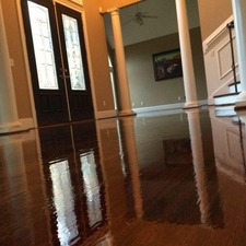 Avatar for Carter's Hardwood Flooring