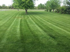Esparza Lawn Service logo