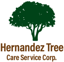 Logo for Hernandez Tree Care Service