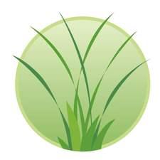 Landscape Management of South Florida logo