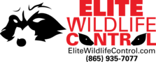 Logo for Elite Wildlife Control