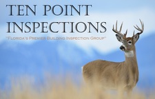 Ten Point Inspections logo