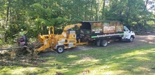 Dynasty Tree and Landscaping Experts, LLC logo