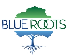 Blue Roots Tree Service logo
