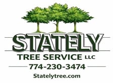 Logo for Stately Tree Service