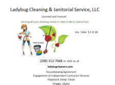 Avatar for Ladybug Cleaning and Janitorial Services - Startseite Facebook