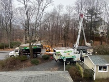 Juarez Landscaping logo