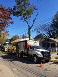Mora's Tree Service, LLC logo