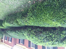 Avatar for Pacheco's Landscaping
