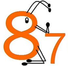 Avatar for A-1 American 87PestSpray & Termite, LLC
