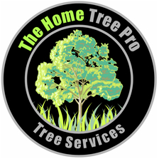 Logo for The Home Tree Pro