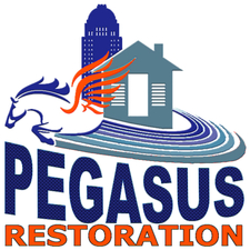 Avatar for Pegasus Restoration, LLC
