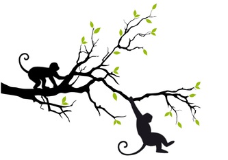 Arbor Monkees, LLC logo