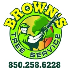 Avatar for Brown's Tree Service and Land Clearing