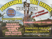 EJ & C Professional Tree Service logo