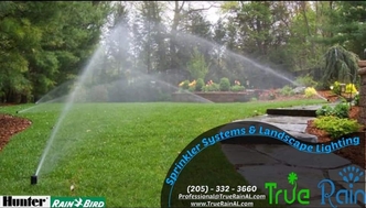 True Rain, LLC logo