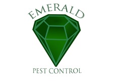 Avatar for Emerald Termite & Pest Control, LLC