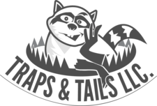 Avatar for Traps and Tails, LLC