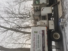 Roman Empire Tree Service logo