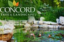 Logo for Concord Tree and Landscape