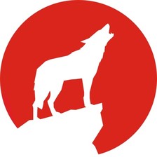 Avatar for White Wolf Painting and Renovations