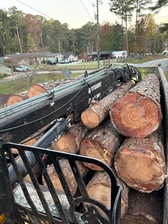 Avatar for Tesla Tree Care